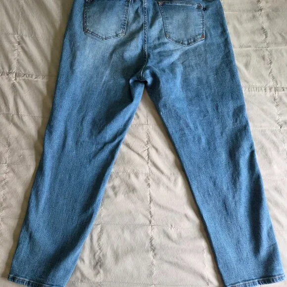 Anthropologie Pilcro Slim Boyfriend Jeans Plus 20W - Picture 4 of 11